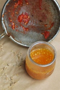 récolte de graines de tomates