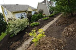 Paysages CO2mestibles