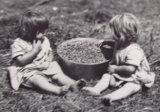 Enfants aux bleuets (source: fonds de l'Action catholique / Bibliothèque et archives nationales du Québec)