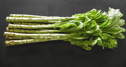 Laitue asperge (photo: http://lacuisinedesbarth.unblog.fr