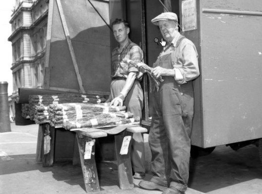 Source: Bibliothèque nationale du Québec)