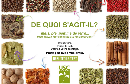 Test sur les semences