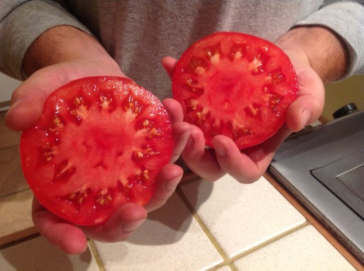 Tomate Ledoux spécial