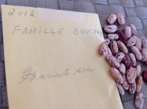 Haricot de la famille Boucher