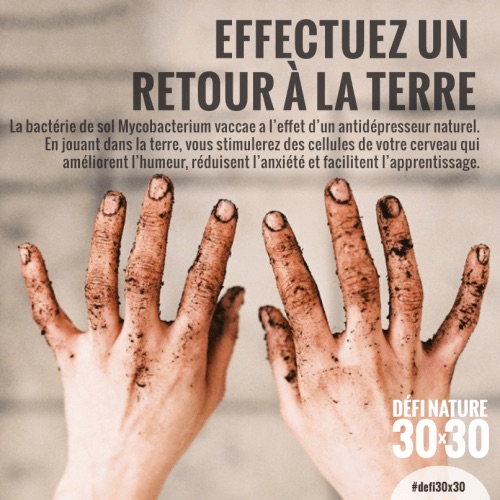 (Source: Défi nature 30x30 - Fondation David Suzuki)