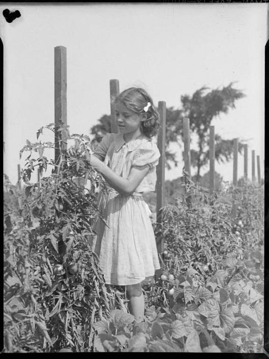 Thérèse Raymond en 1941 au Jardin Botanique de Montréal (image: bibliothèque et archives nationales du Québec)