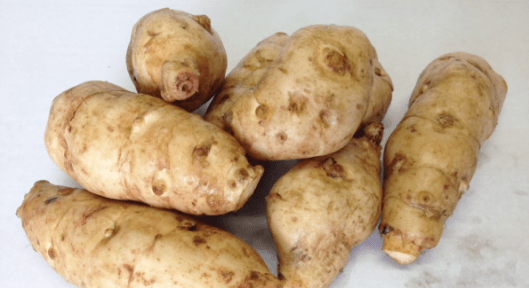 Rhizomes d'heliantis (photo: bioalaune.com)